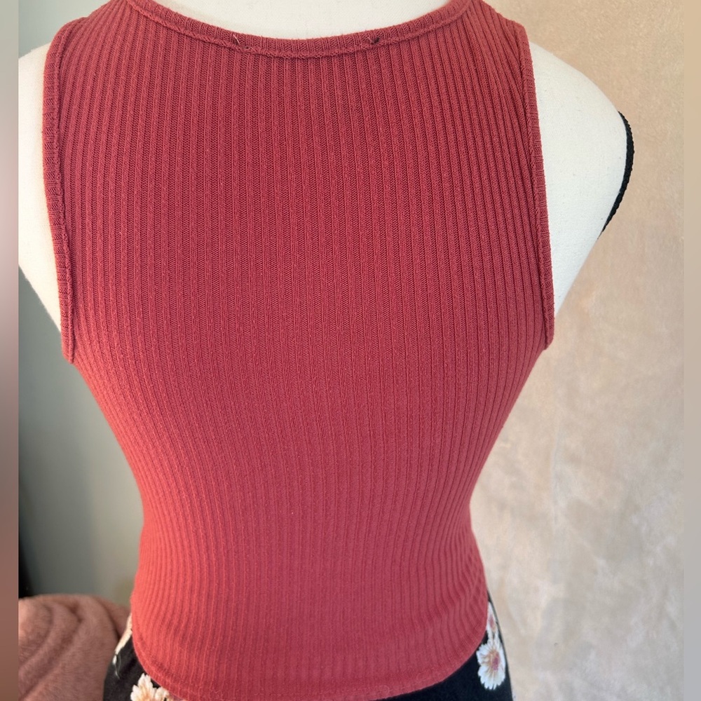 Revamped Rust Ribbed Crop Top - Picture 5 of 6